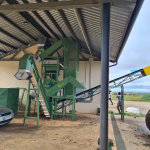 Industria alimentaria procesado de PISTACHO