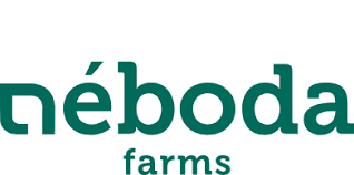 Vertical farming albahaca Vertical farming albahaca